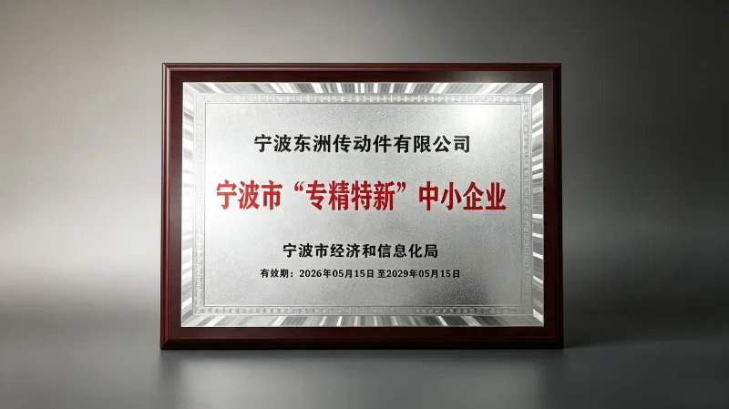Ningbo Dongzhou Transmission Co., Ltd. nagrodzone przez miasto Ningbo statusem „wyspecjalizowanego i wyrafinowanego” MŚP